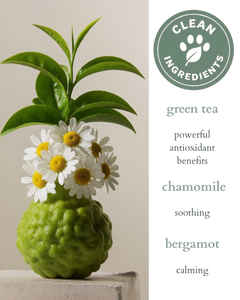 natural pet spray
