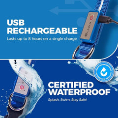 Safety LED Dog Collar - USB Rechargeable Waterproof Light for Night Walks